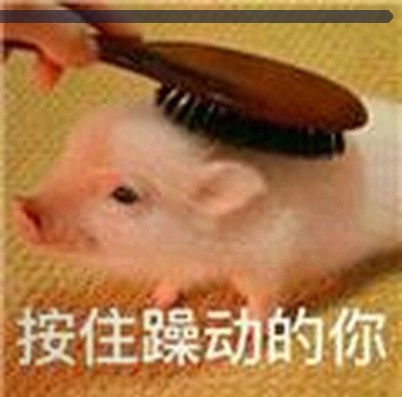 张薇